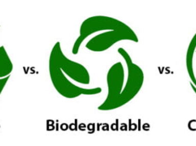 Differences between compostable, biodegradable and recyclable packaging