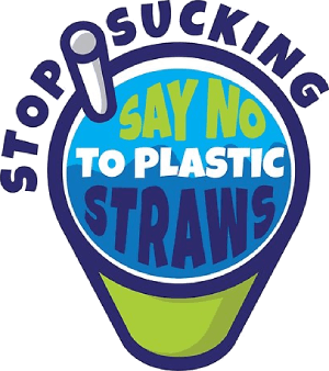 no plastic straws eco friendly