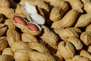 peanuts-packaging-solutions-min