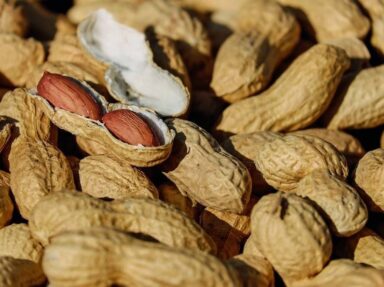 Advantages of bags and pouches for peanuts packaging