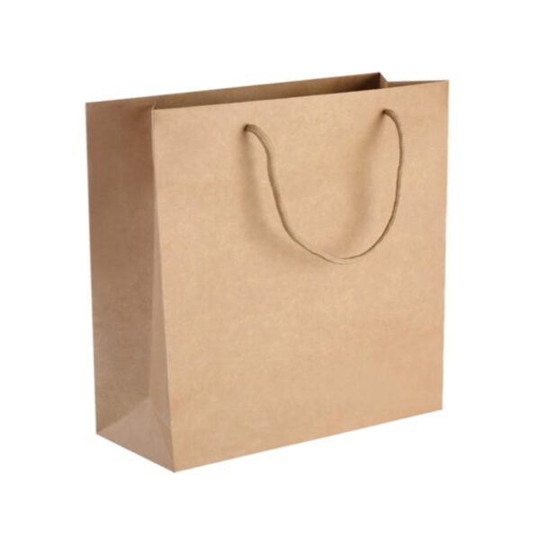 Kraft Paper Shopping Carry Bag  (250 pcs) (200×200+110mm)
