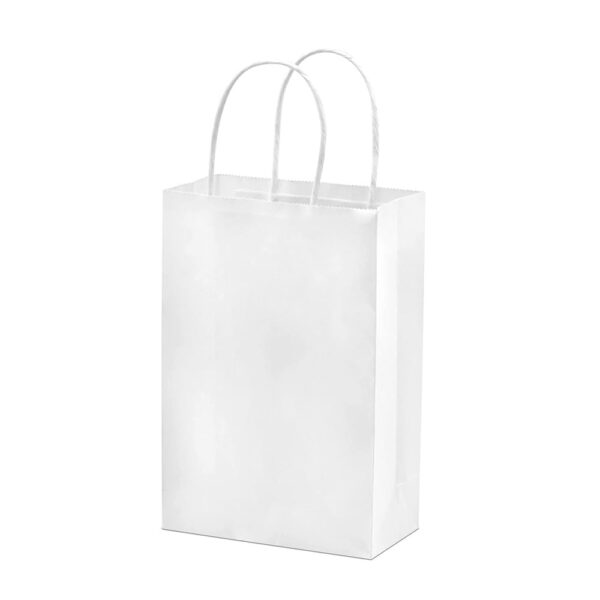 White Kraft Paper Shopping Carry Bag  (250 pcs) (190×245+80mm)