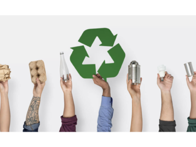 Sustainable Packaging Trends: Redefining the Future of Packaging