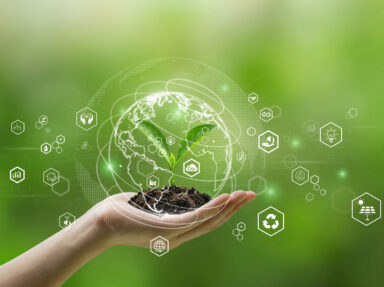 Embracing a ‘Green by Default’ Approach in Packaging