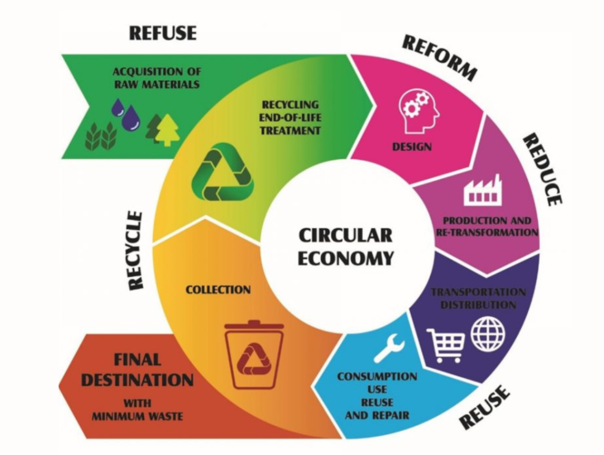 Embracing the Circular Economy: Sustainable Packaging’s Role in Waste Reduction and Resource Conservation