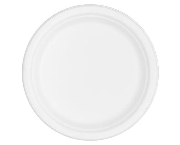 Sugarcane 10inch Round Plate – White (500 units) – Disposable & Takeaway
