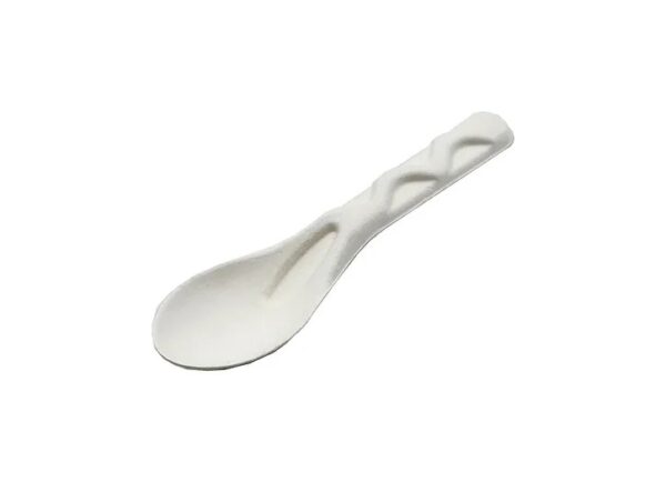 Sugarcane Curry Spoon 140mm (1000 units) – Disposable & Takeaway