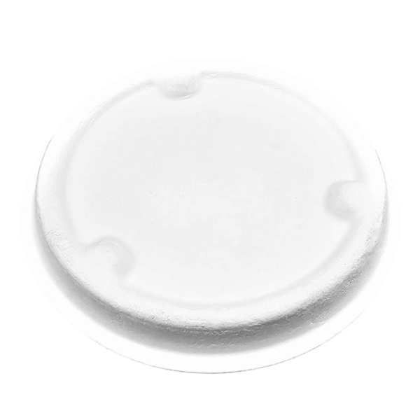 Sugarcane 10inch Round Plate – White (500 units) – Disposable & Takeaway