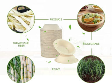 Sustainable Packaging Evolution: The Rise of Sugarcane Containers