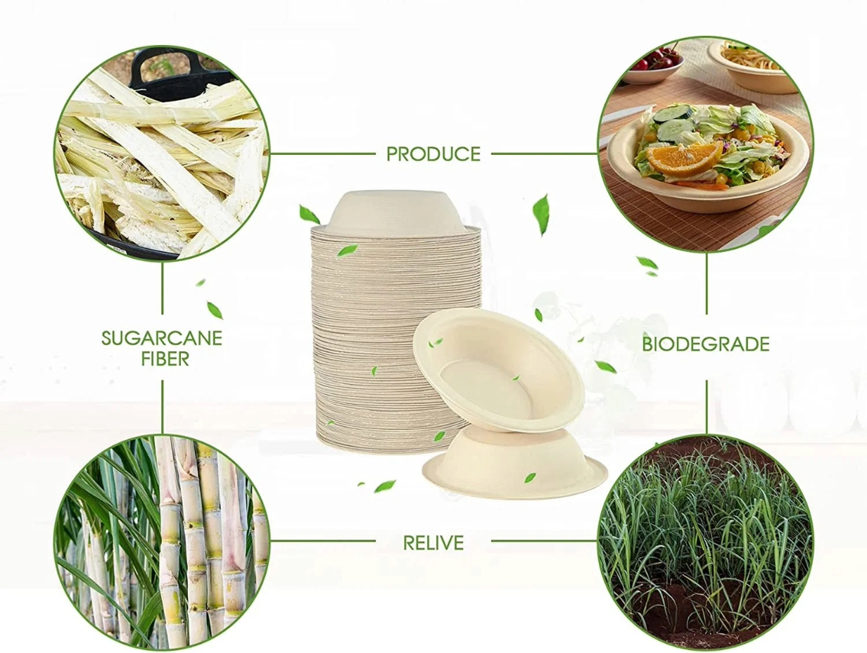 Sustainable Packaging Evolution: The Rise of Sugarcane Containers