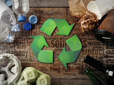 Brands Go Green: A Guide to Sustainable Packaging